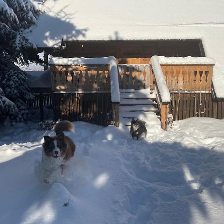 Domek Krzeptowskiego 18 Zakopane Eksteriør billede