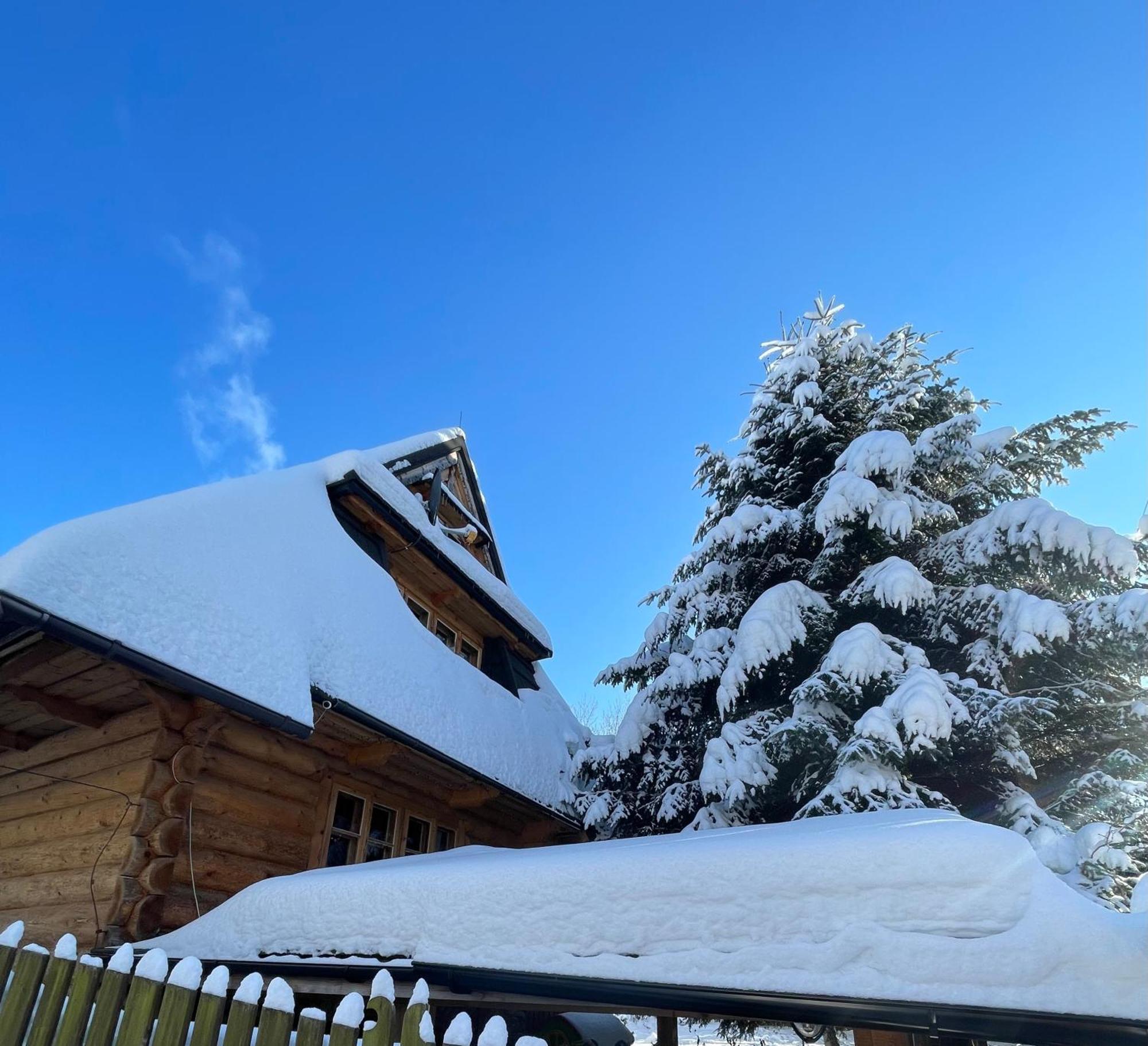 Domek Krzeptowskiego 18 Zakopane Eksteriør billede